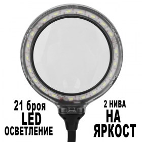 25590